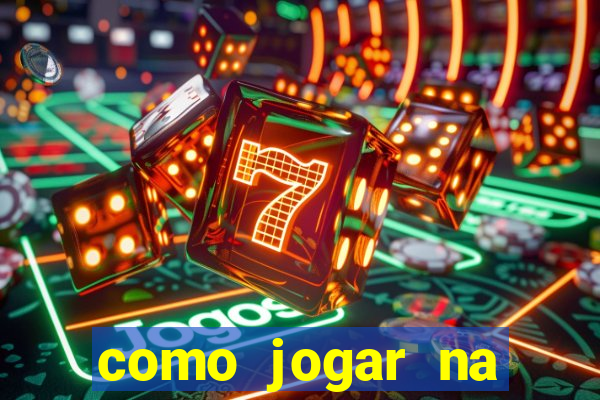 como jogar na lotinha do jogo do bicho